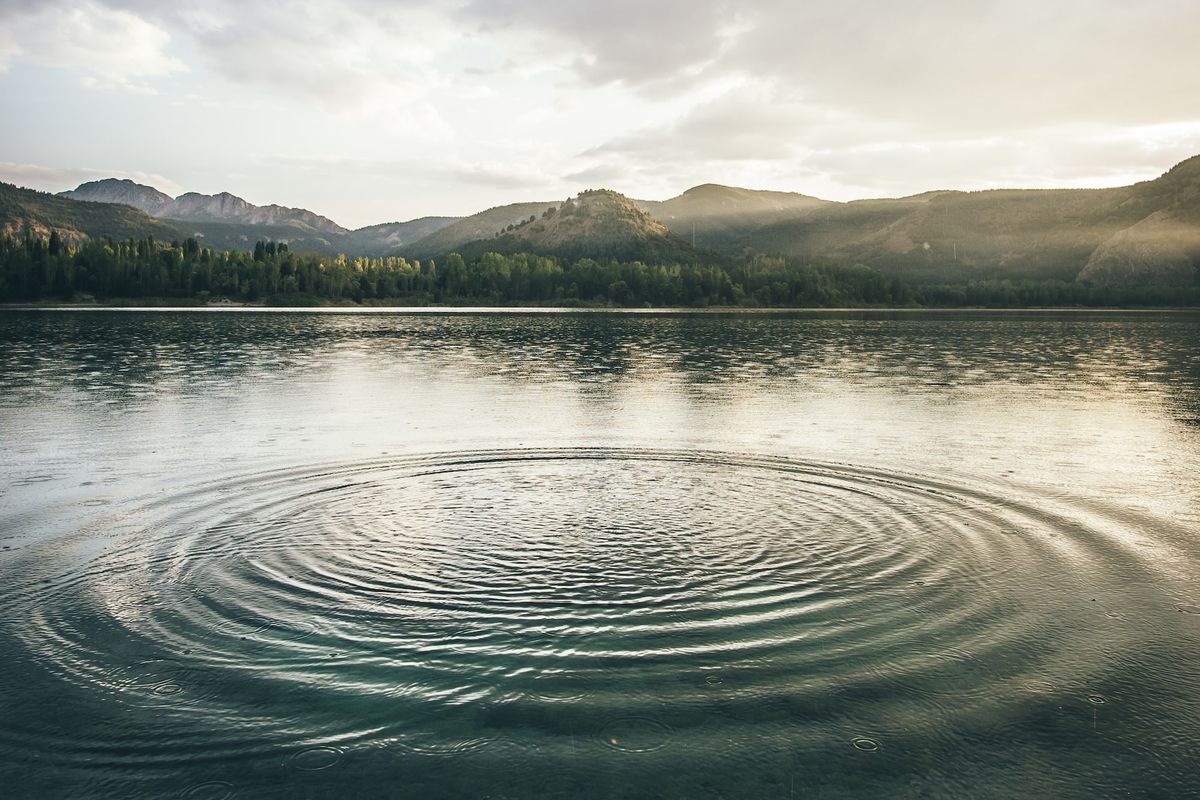 The Ripple Effect: Cascade Science-Based Targets Through Your Supply Chain