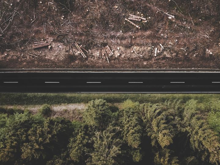 The European Union's Deforestation Regulation (EUDR): A Comprehensive Overview